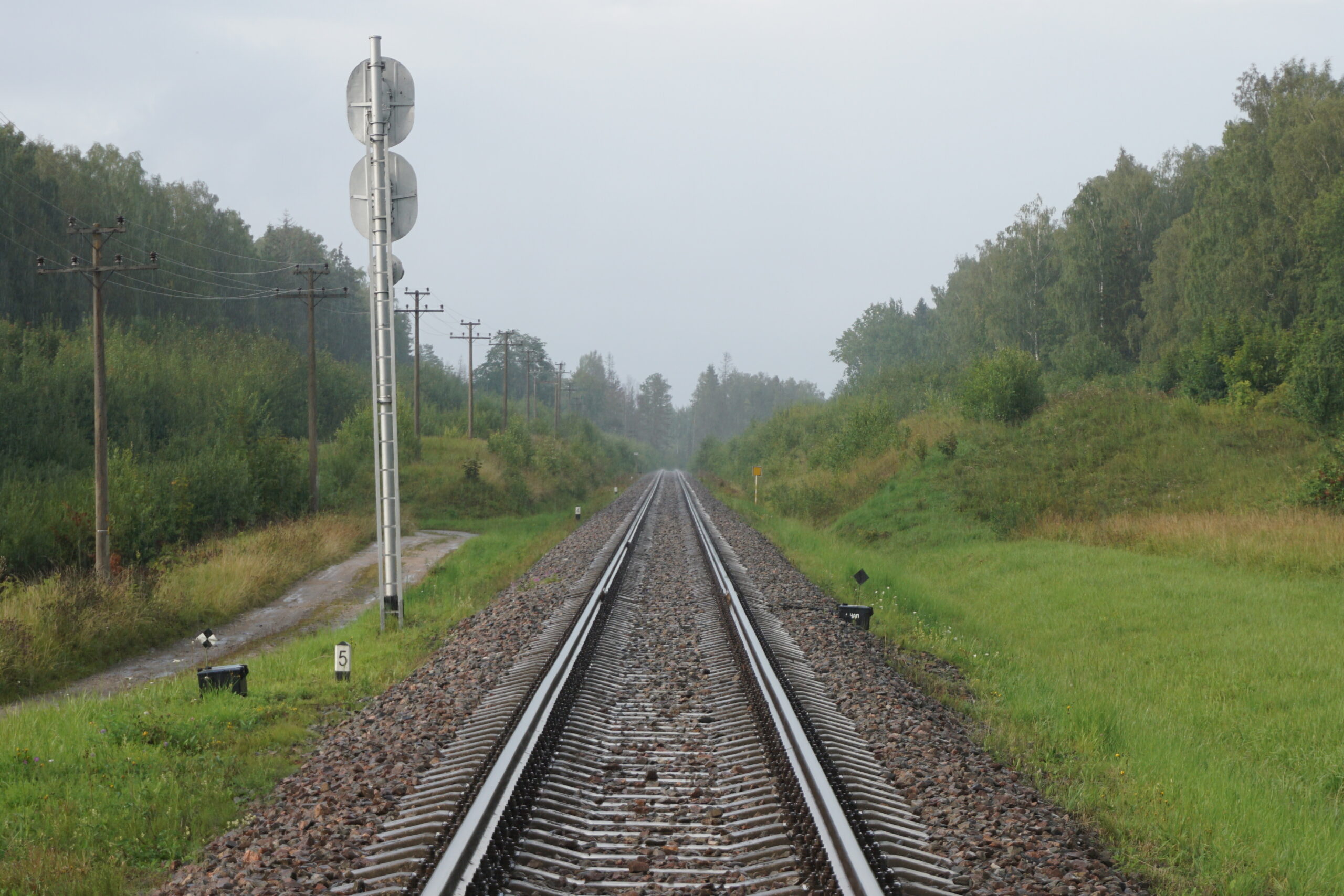 Tamo Vahemets: elada või saada numbriks statistikas